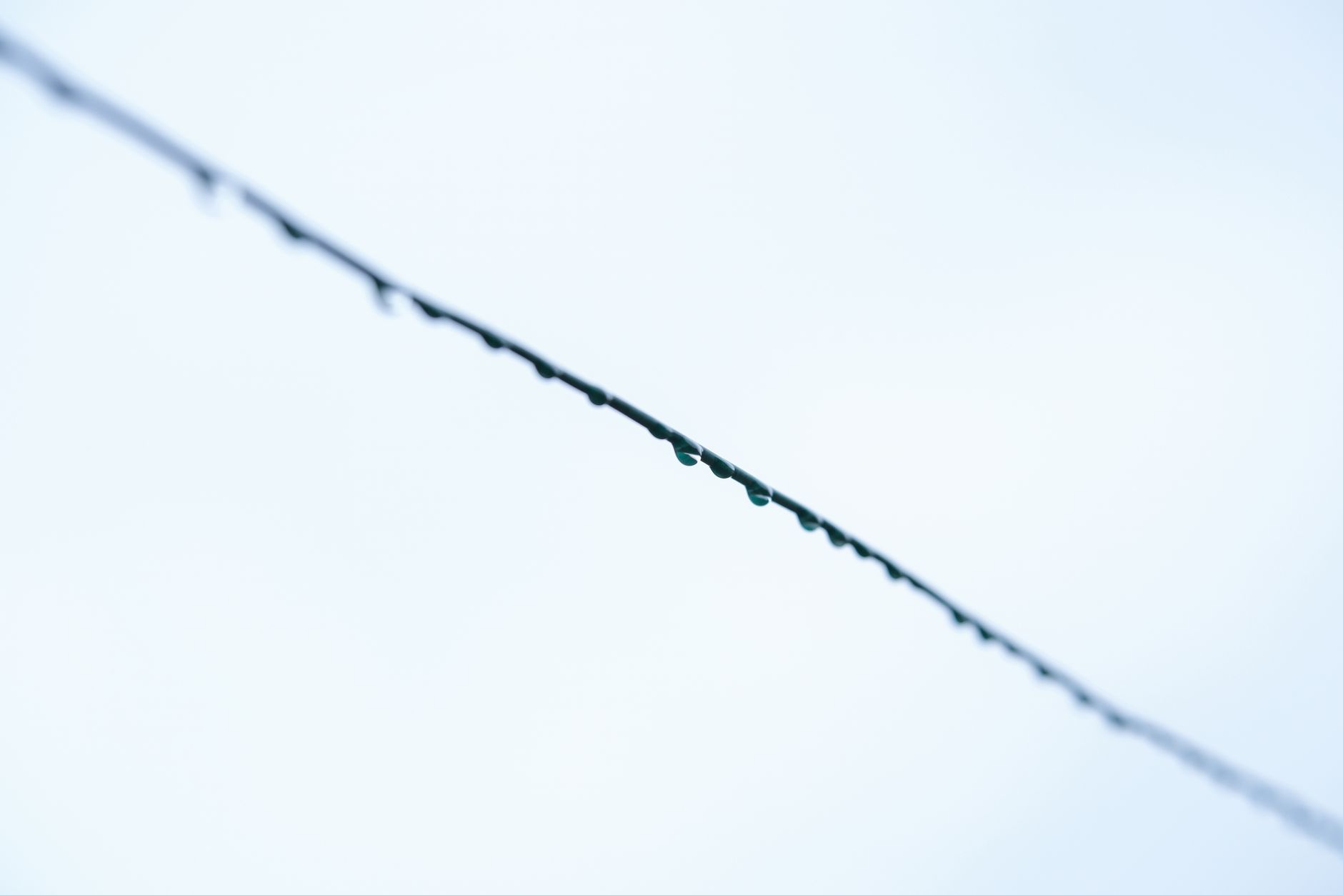 Fascia Repair – Devine